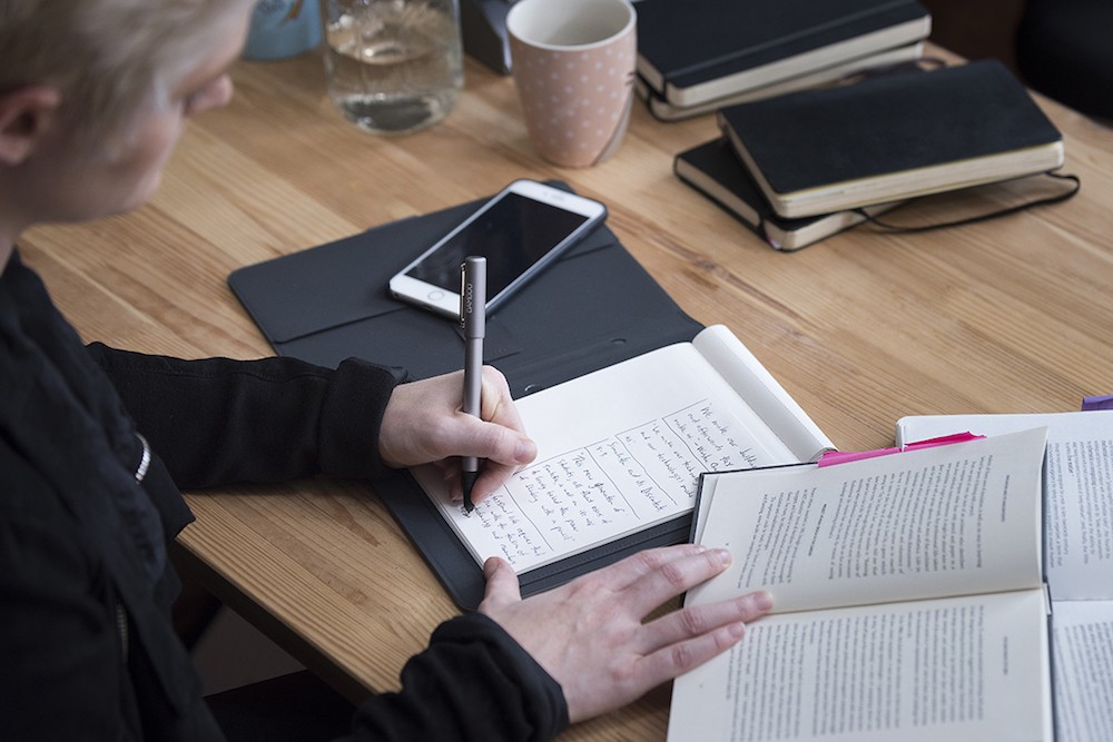 بامبو فولیو